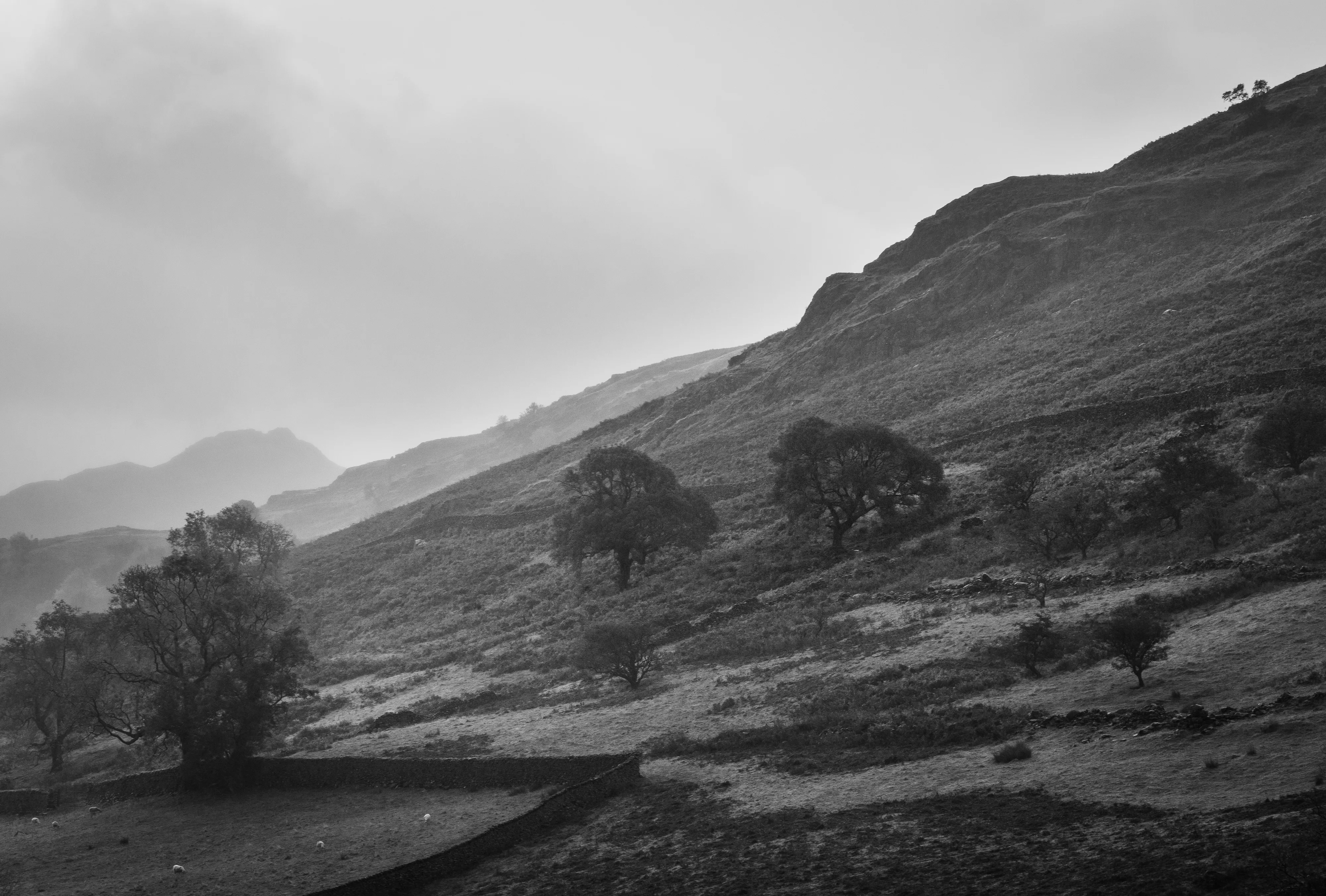 Gribdale Common Hillside
