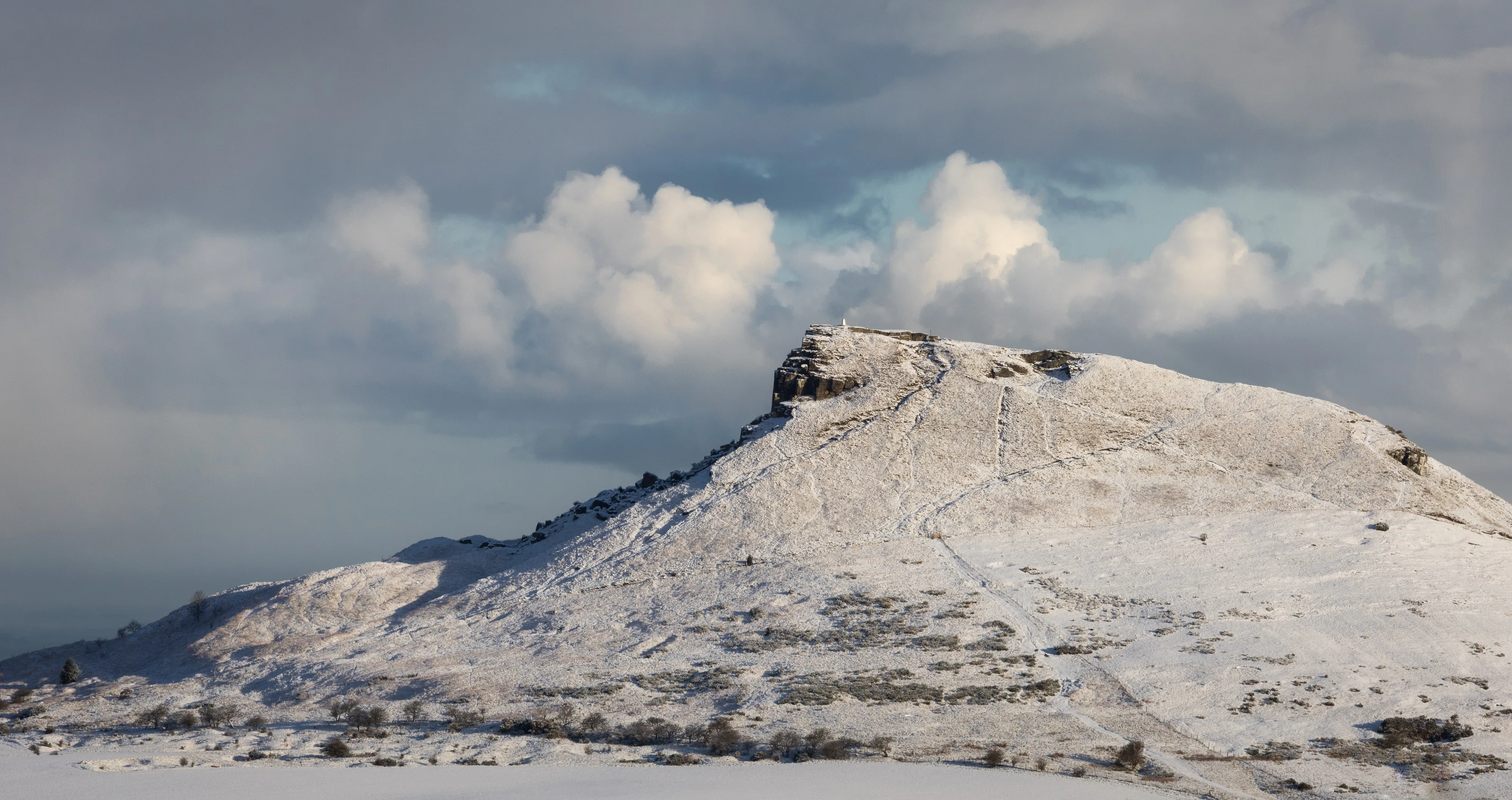 Snowy Topping