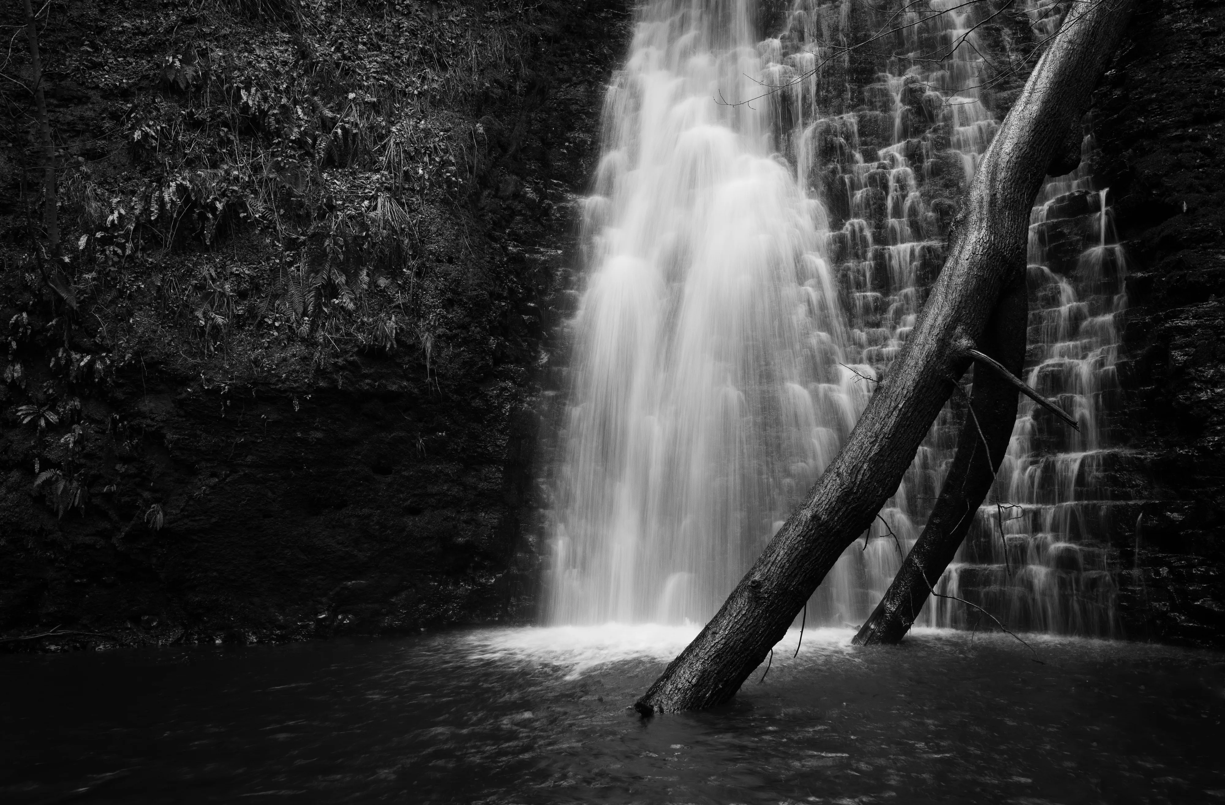 Falling Foss Log