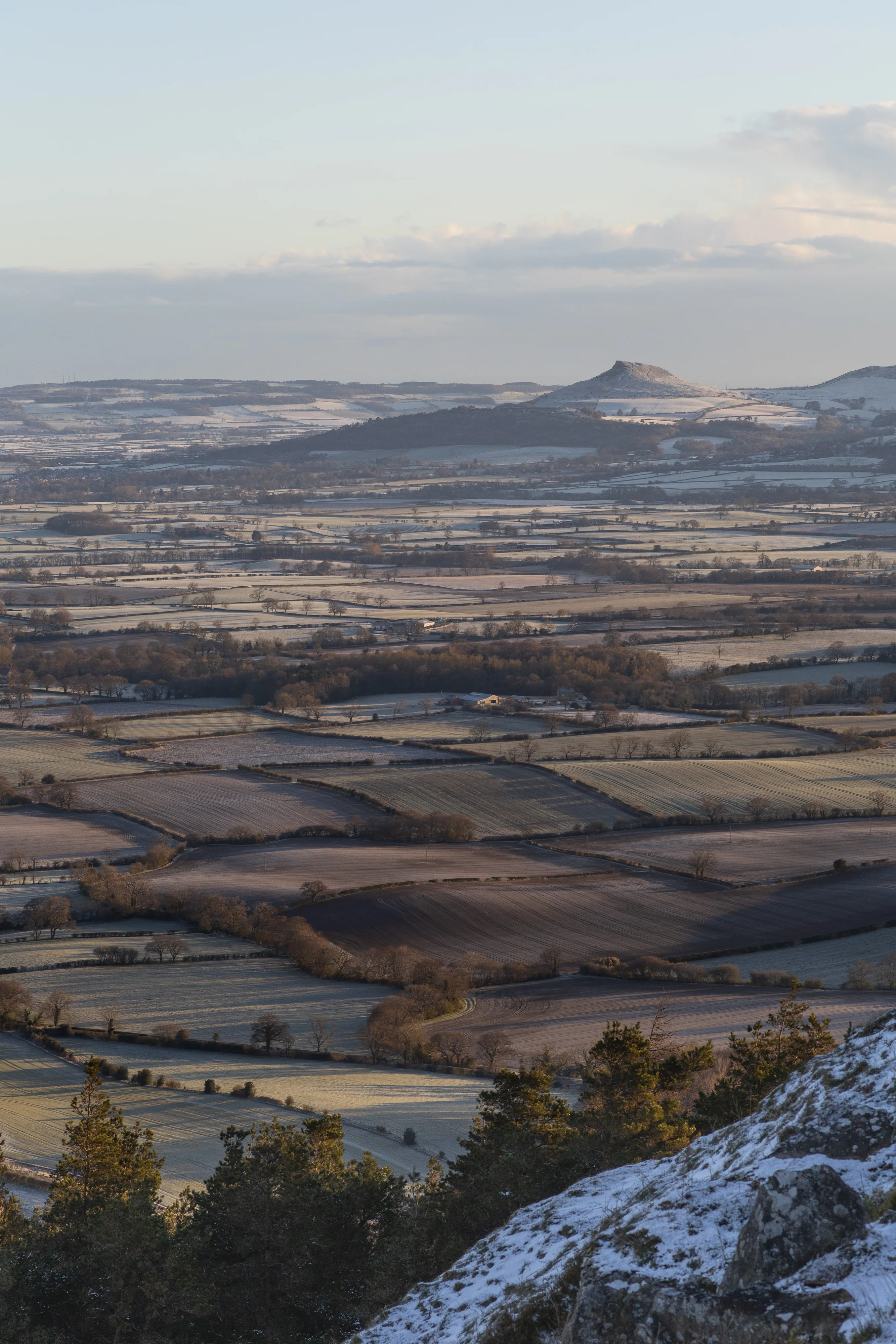 Roseberry Frost