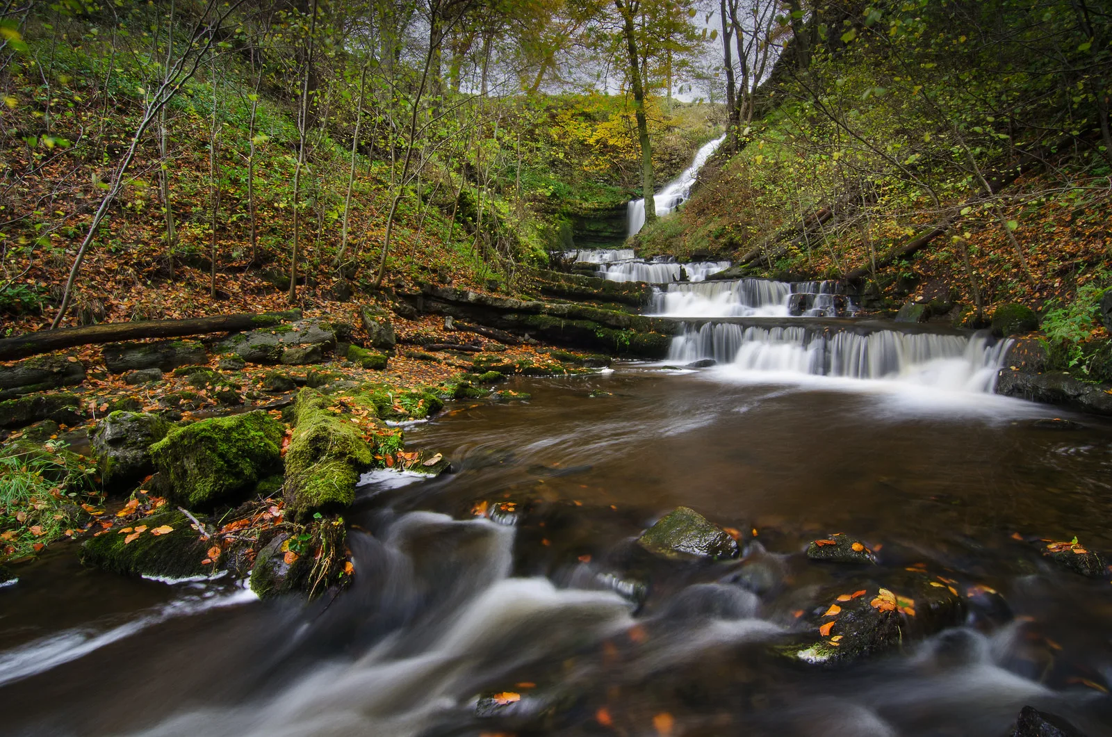 Scalabar Falls