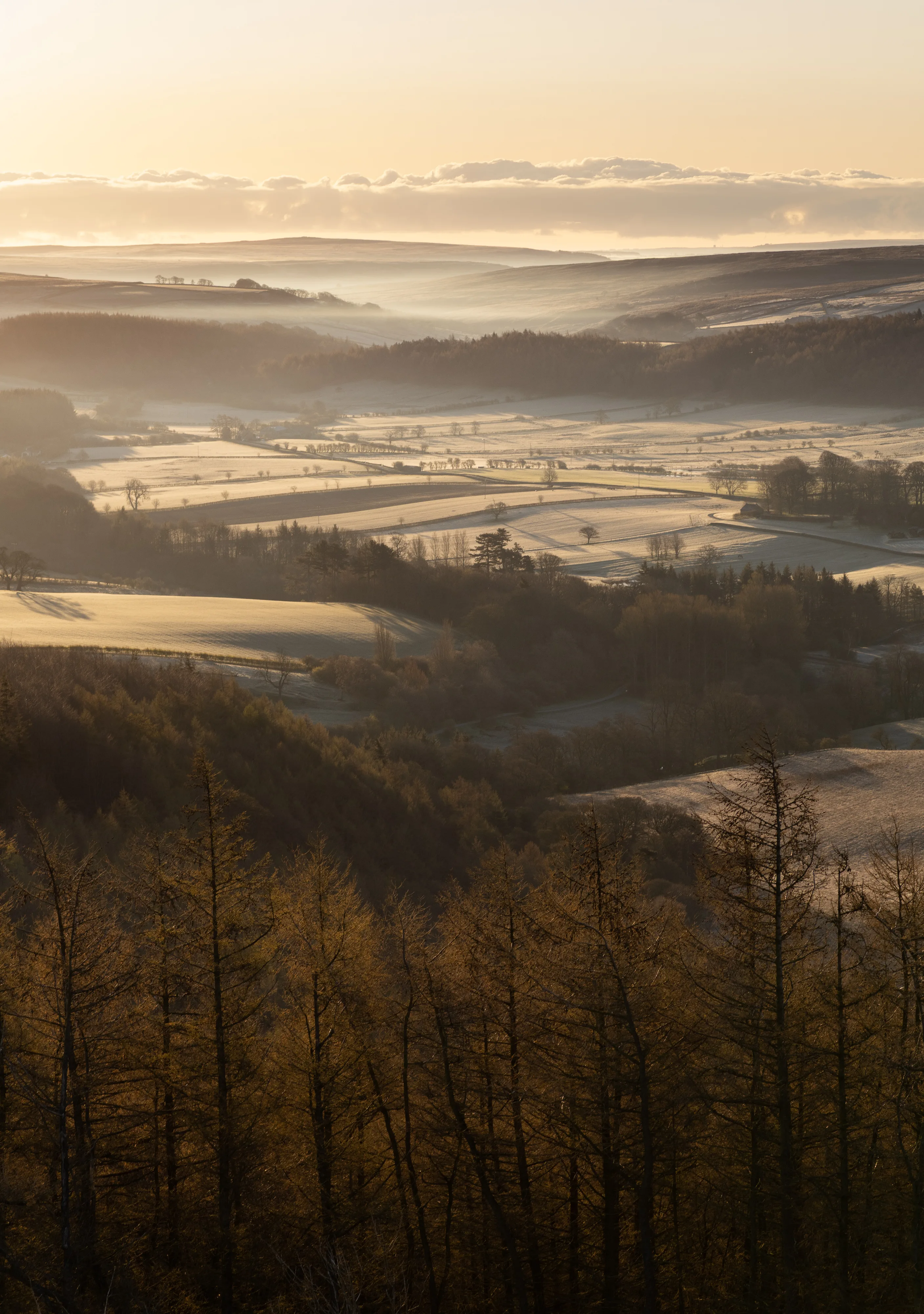 Kildale Sunrise