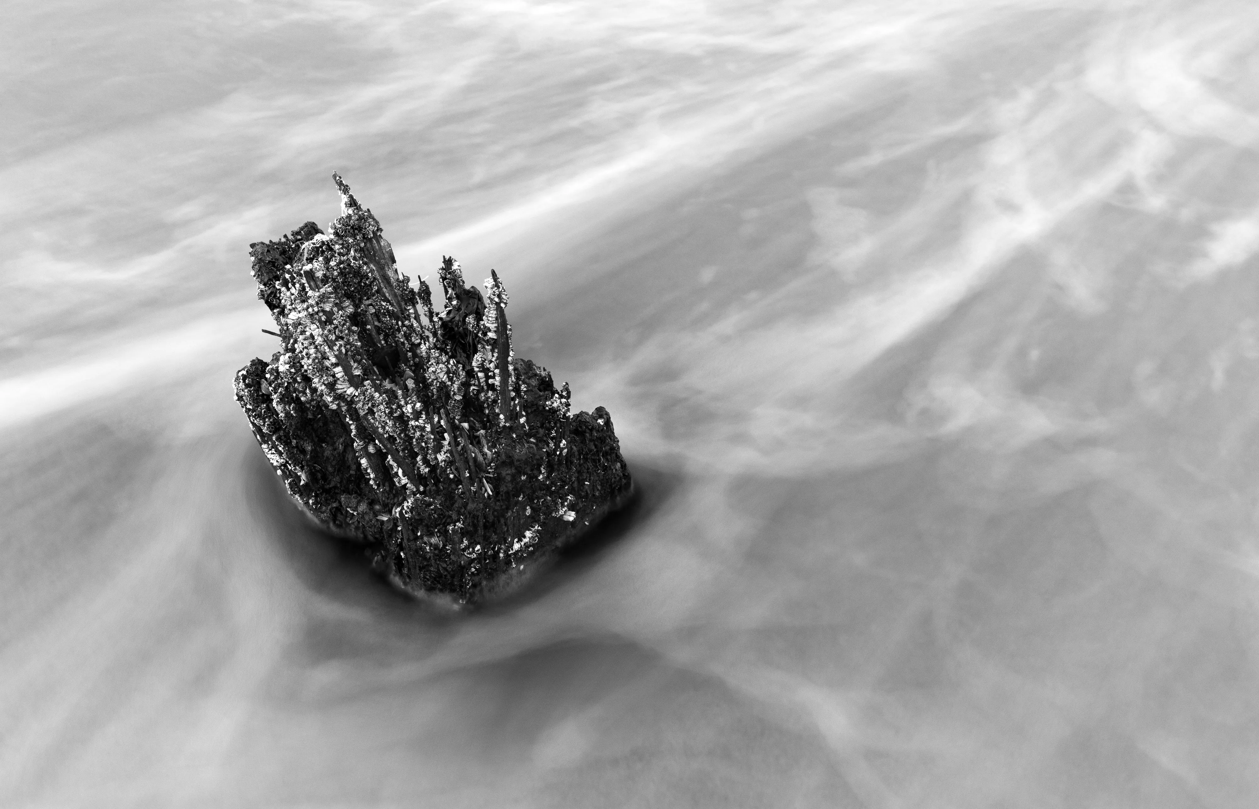 Stumpy Barnacles