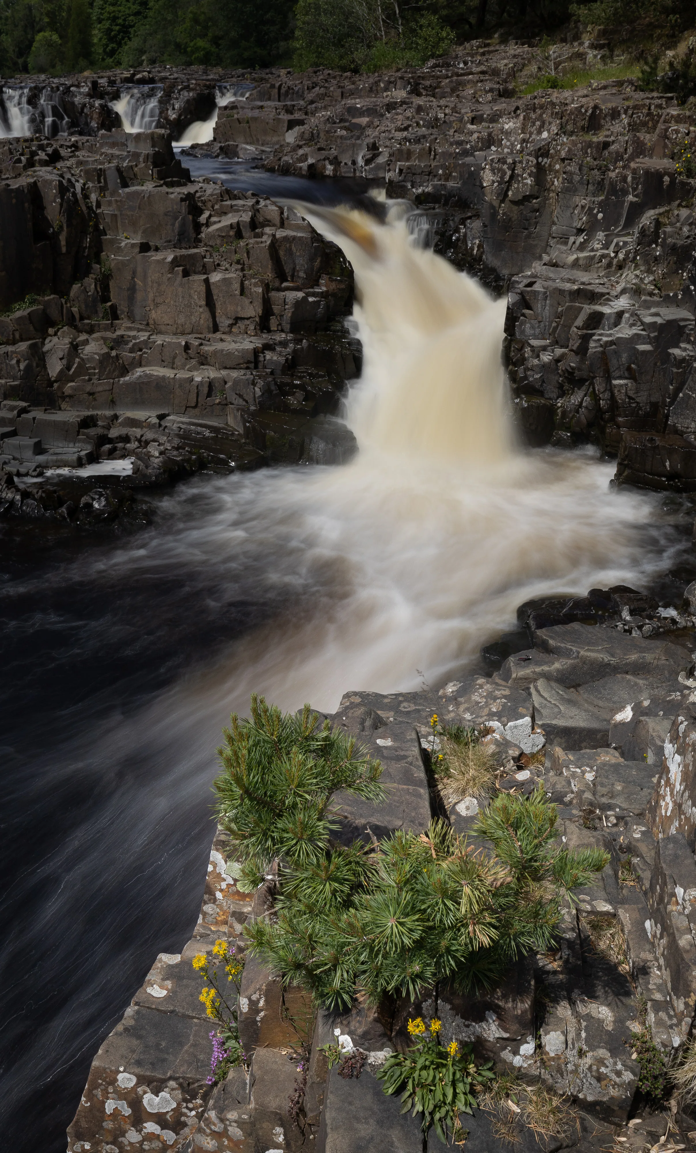 Low Force