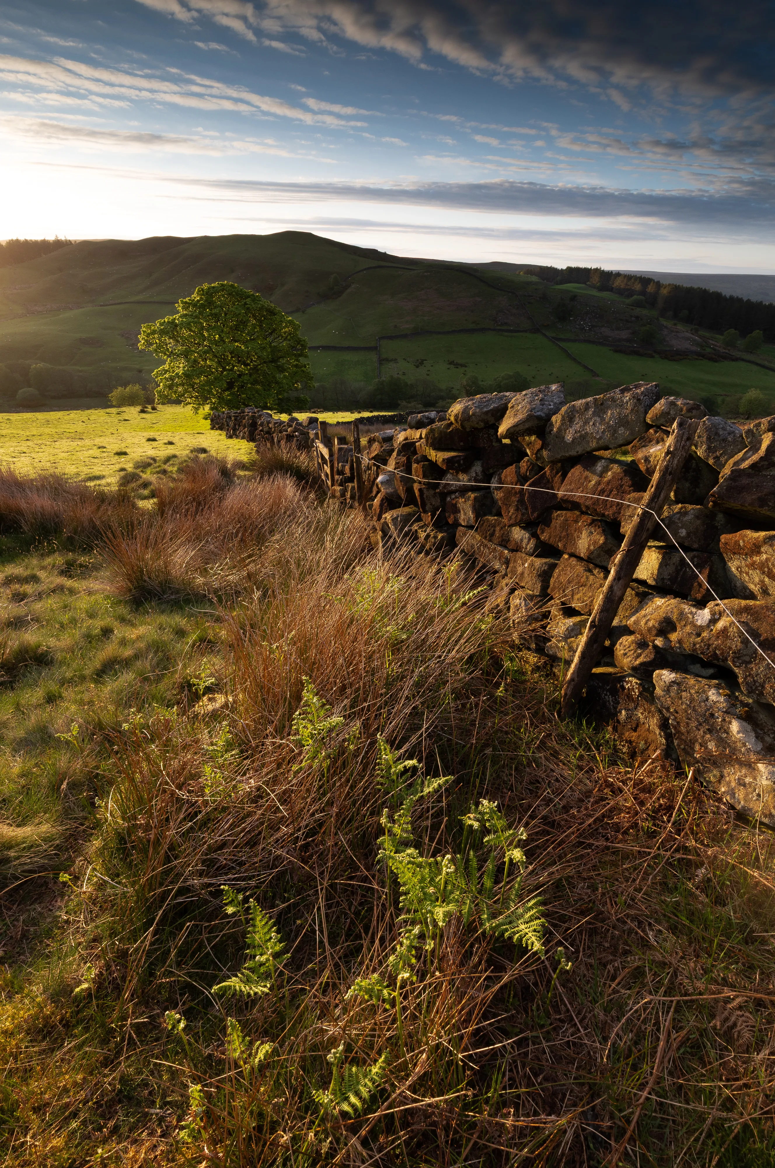 Staindale Sunrise