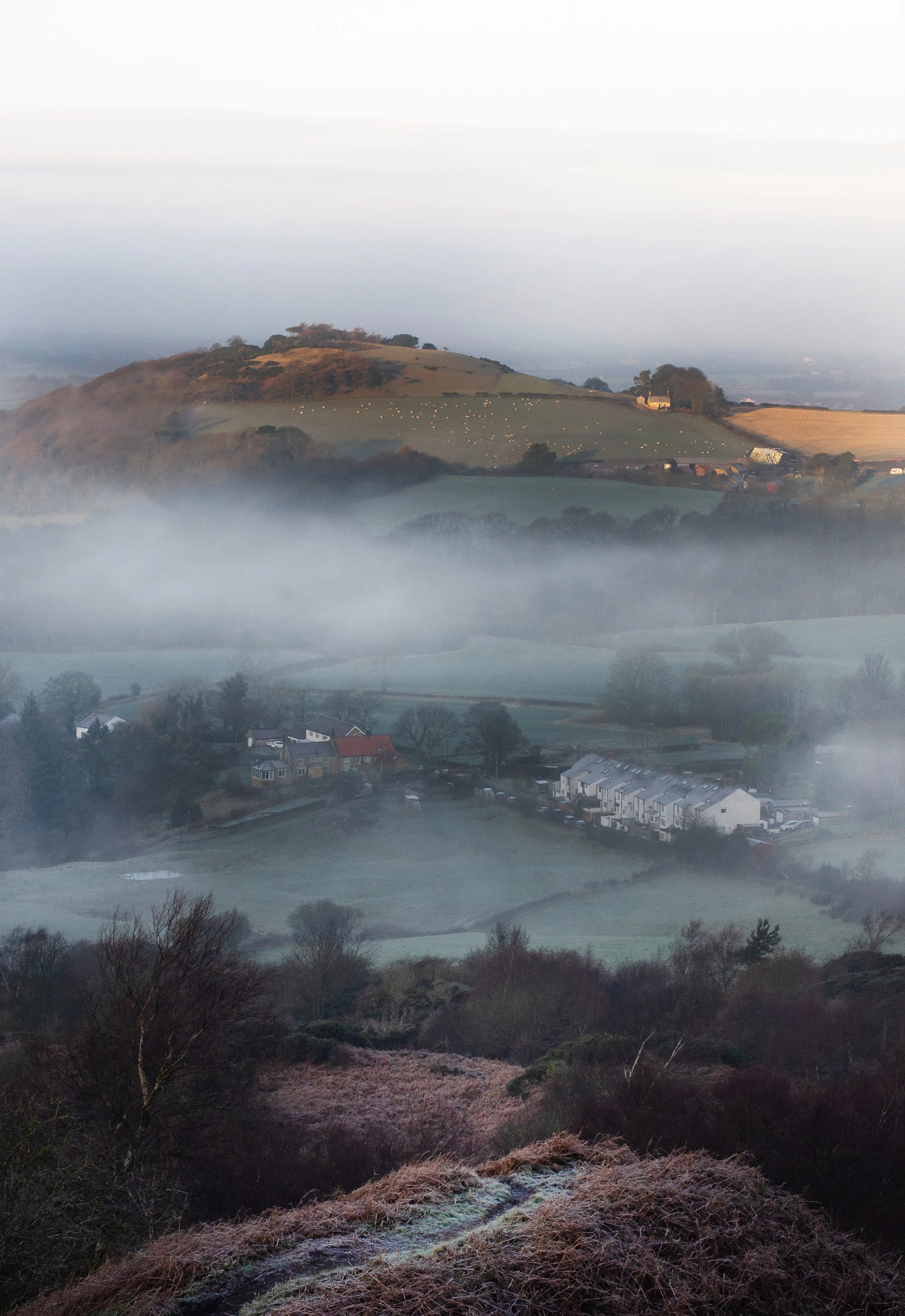 Gribdale Fog
