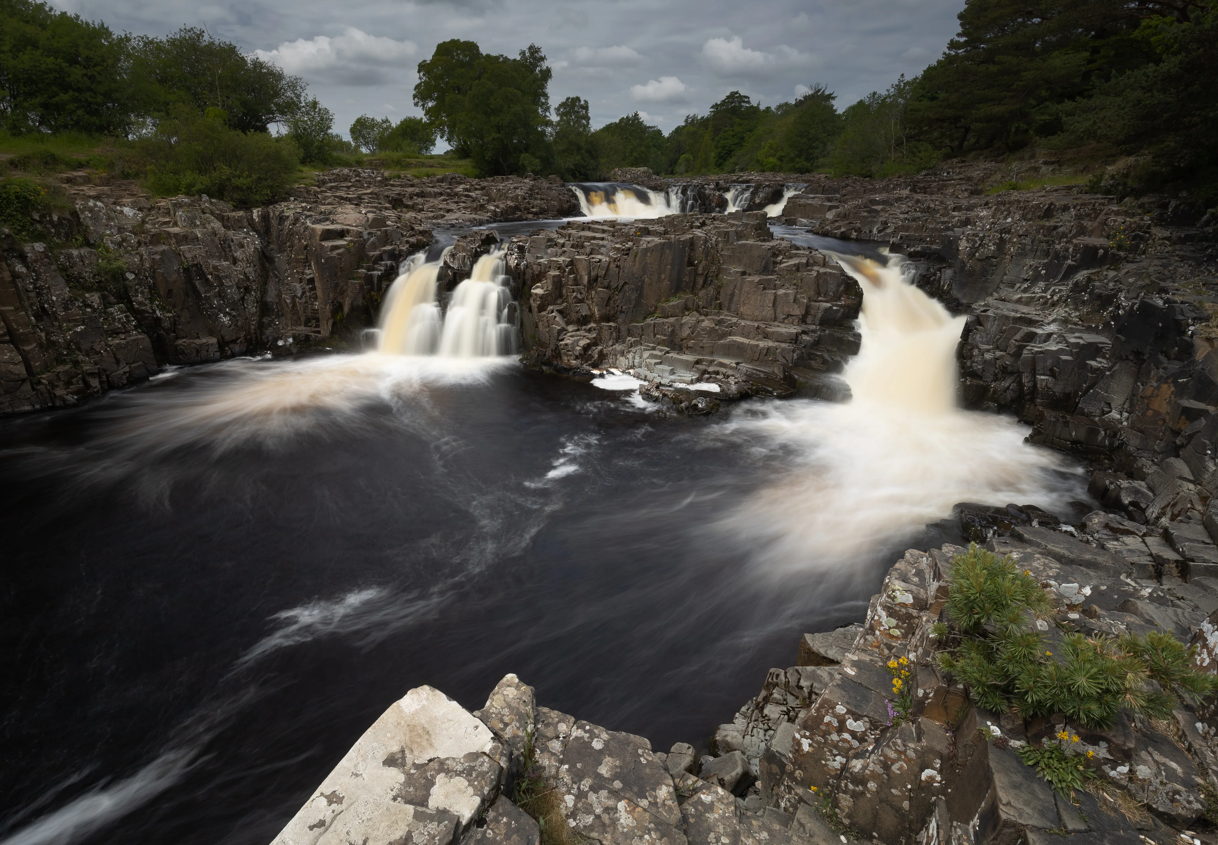 Low Force