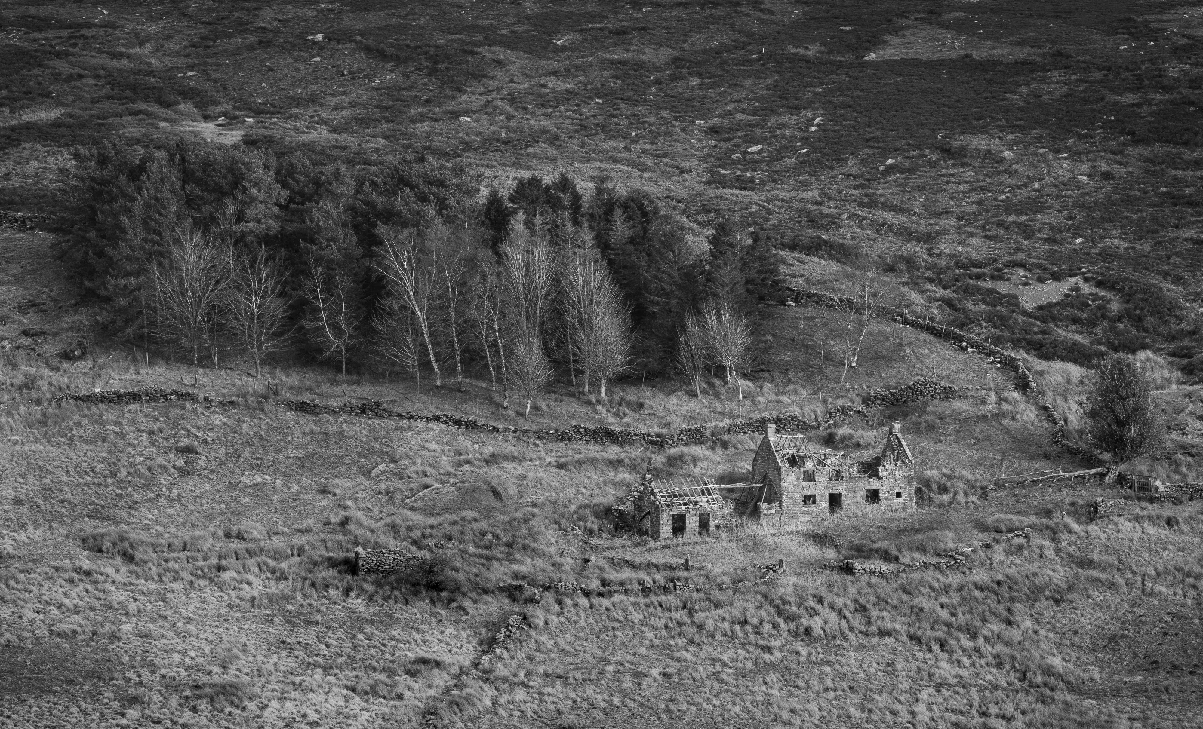 Abandoned Farm