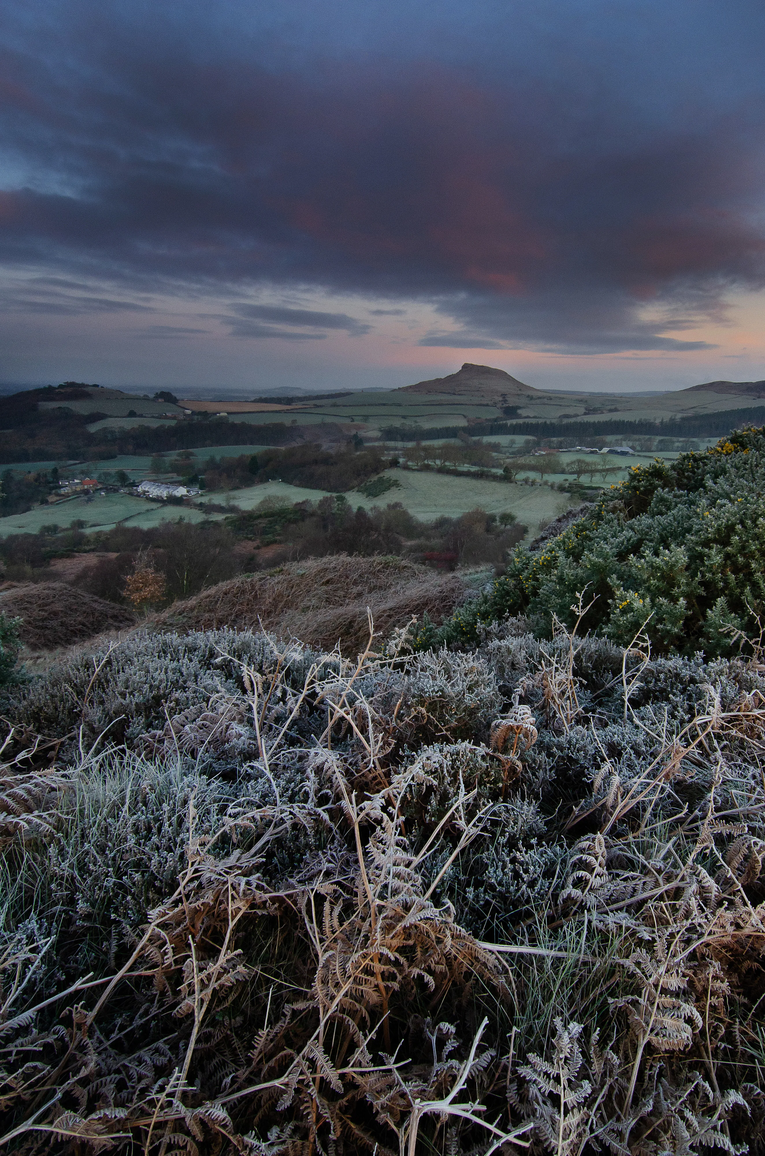Frosty Rosedale Sunrise