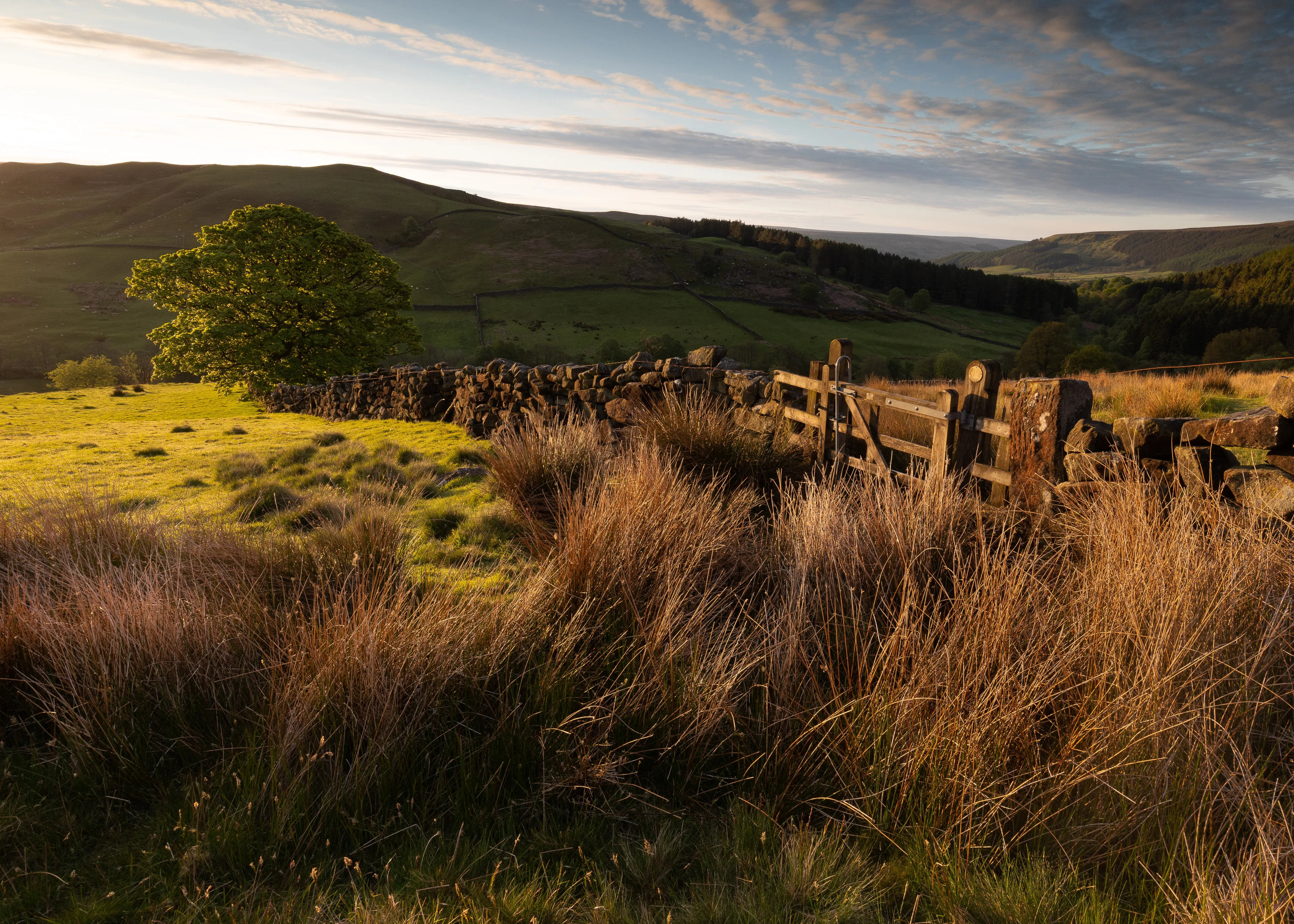 Staindale Sunrise