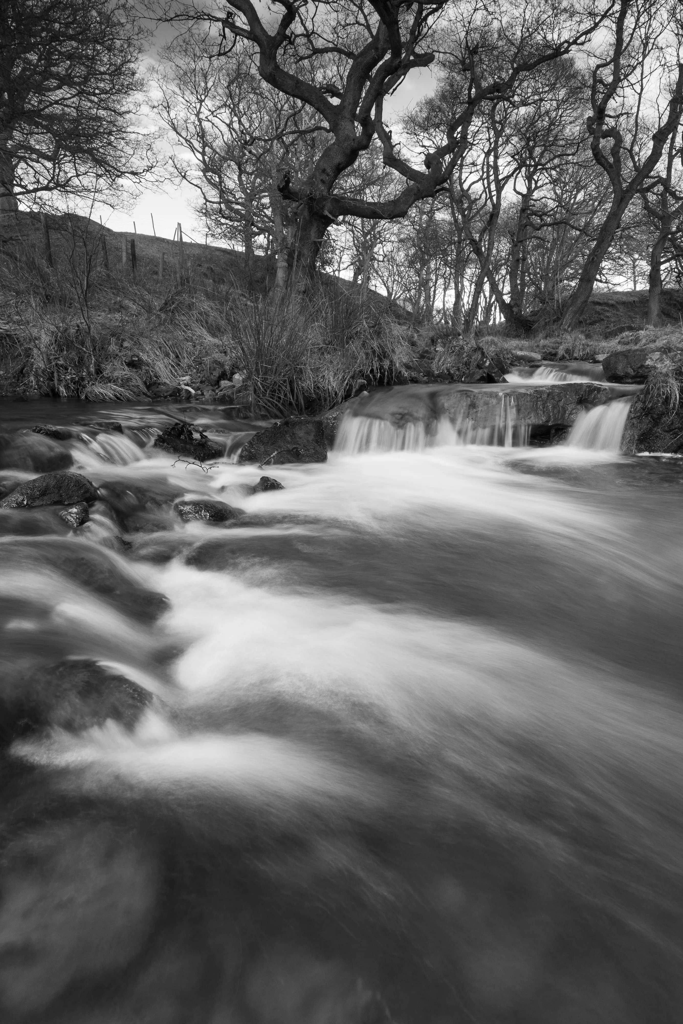 Hill End Falls