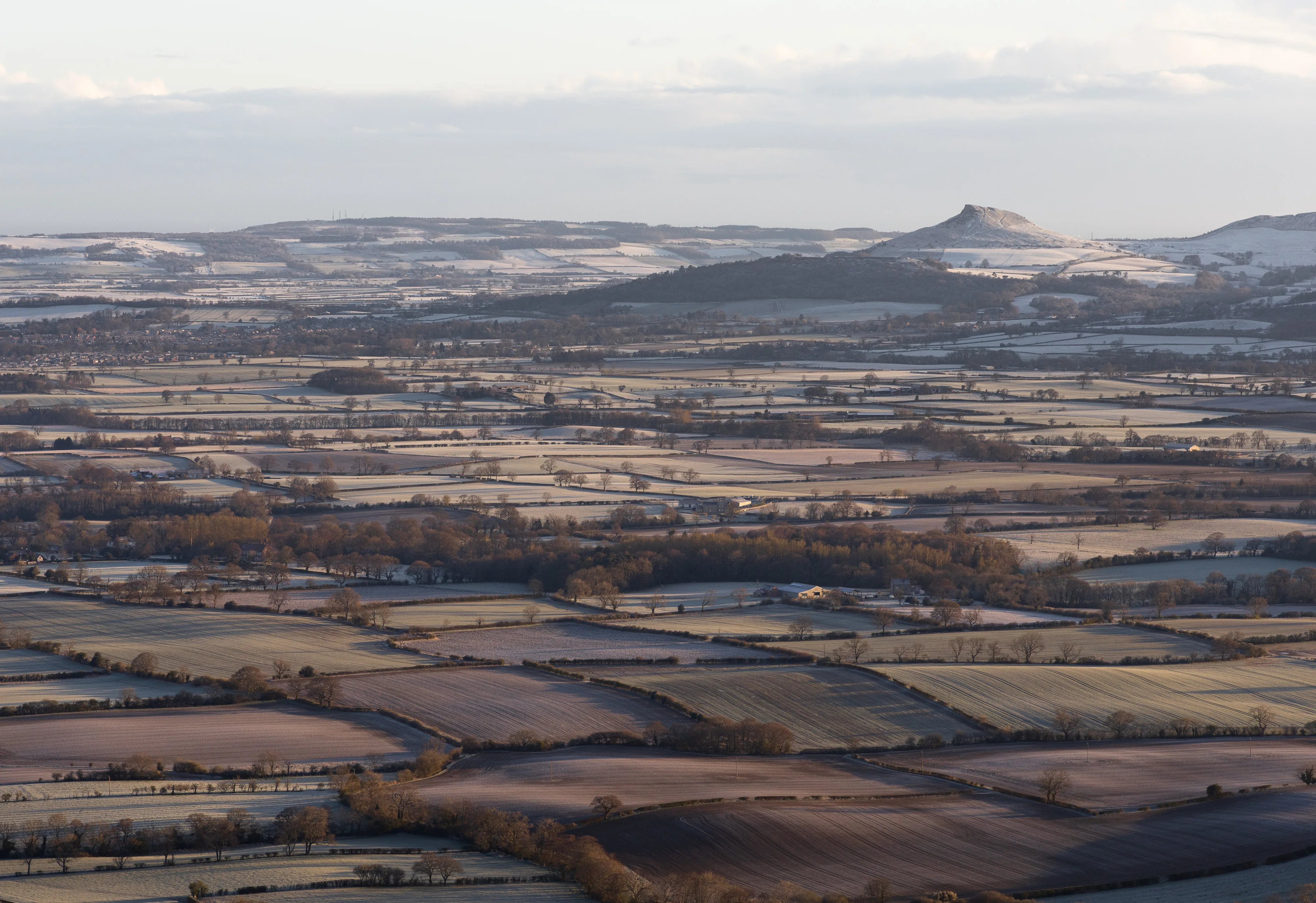 Roseberry Frost